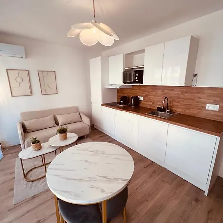 Cosy Avec Terrasse Centre Apartment Cannes