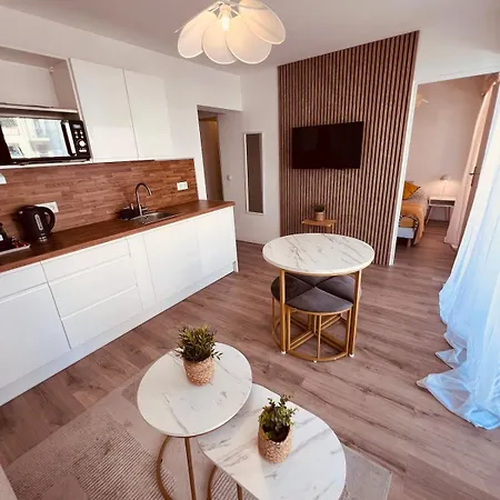 Cosy Avec Terrasse Centre