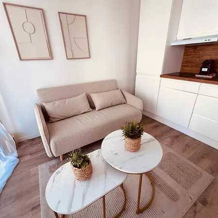 Cosy Avec Terrasse Centre *
